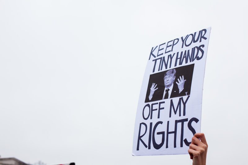 Illustration for article titled WOMEN'S MARCH ON WASHINGTON : THE SIGNS